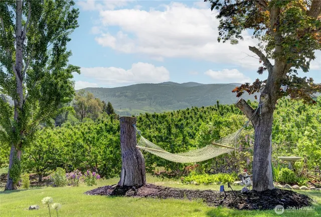 a backyard of a house with plants and large tree