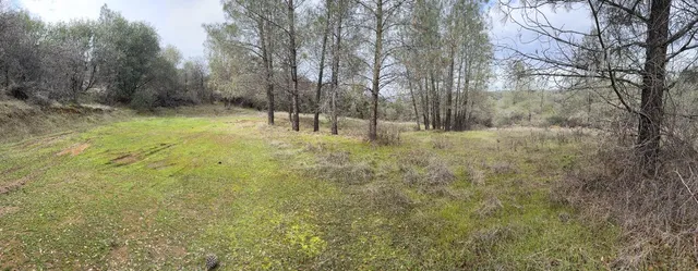 a view of a field of grass and trees