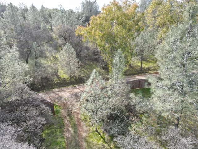 a view of a field with large trees