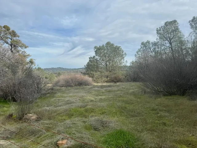 a view of a pathway both side of river and trees