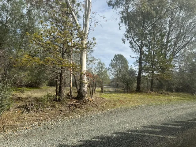 a view of a field with trees in the background