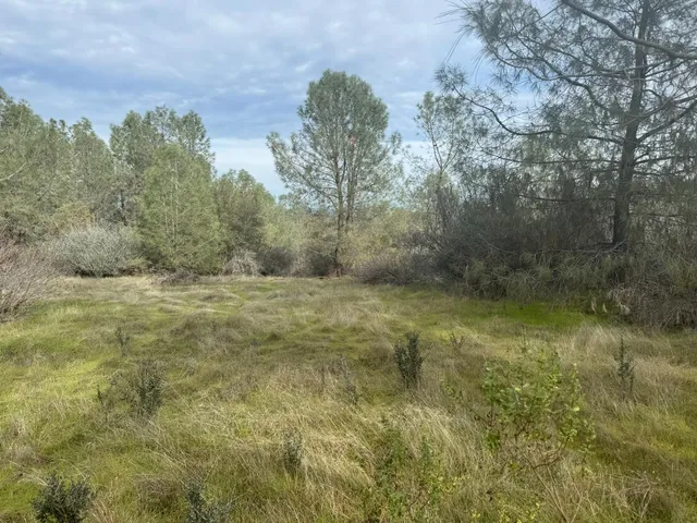 $130,000 | 10600 Wild Turkey Lane, Smartsville, CA 95977