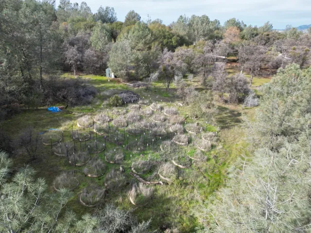 $130,000 | 10600 Wild Turkey Lane, Smartsville, CA 95977