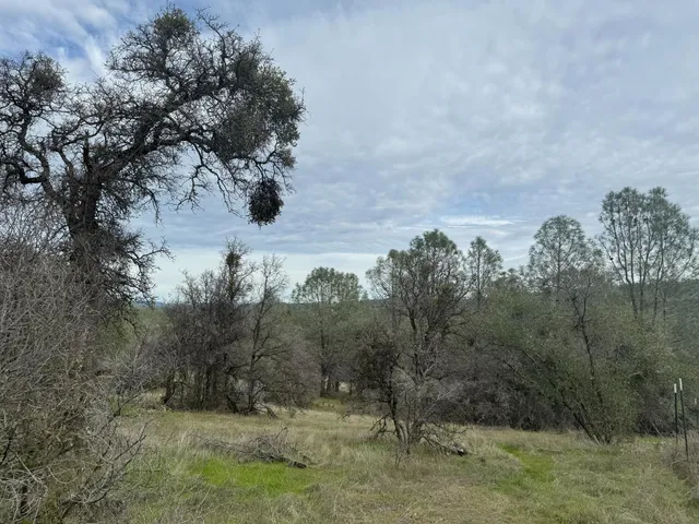$130,000 | 10600 Wild Turkey Lane, Smartsville, CA 95977