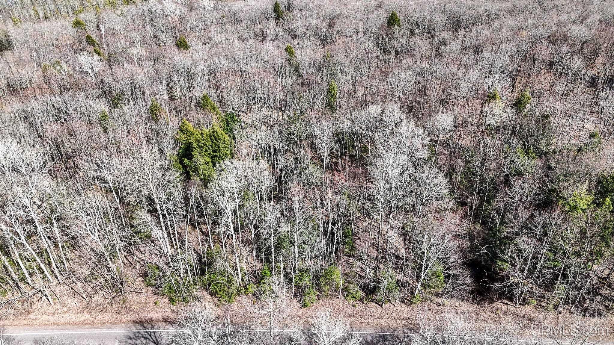 On On Chaney Lake Road Wakefield, MI 49968 - Photo 7 of 10