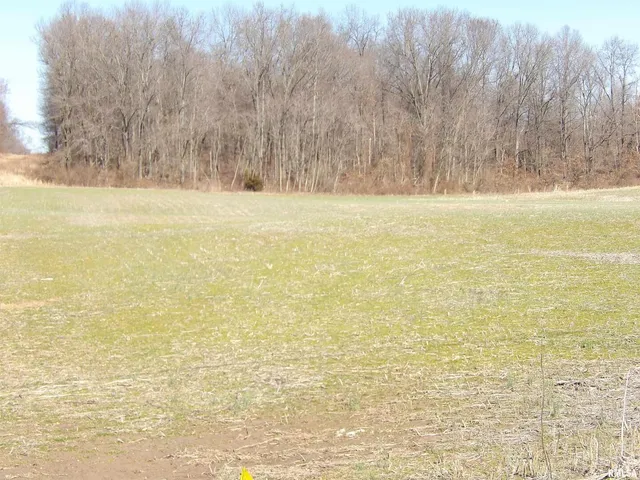 a view of yard with trees