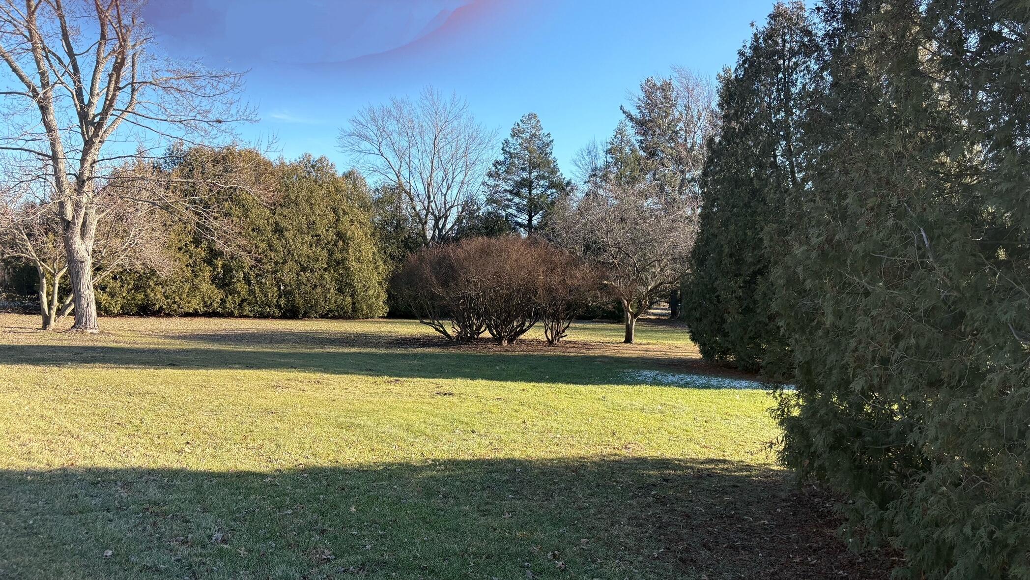 924 Fillmore Street Shelby, IN 46356 - Photo 2 of 11 a view of a swimming pool with an outdoor space