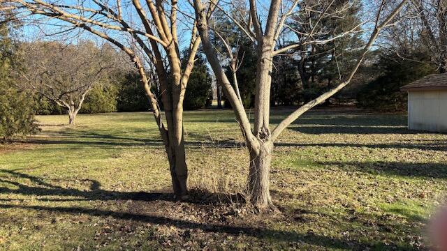 924 Fillmore Street Shelby, IN 46356 - Photo 3 of 11 a view of a backyard with large trees