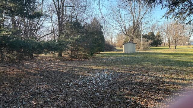 924 Fillmore Street Shelby, IN 46356 - Photo 7 of 11 a view of outdoor space with trees