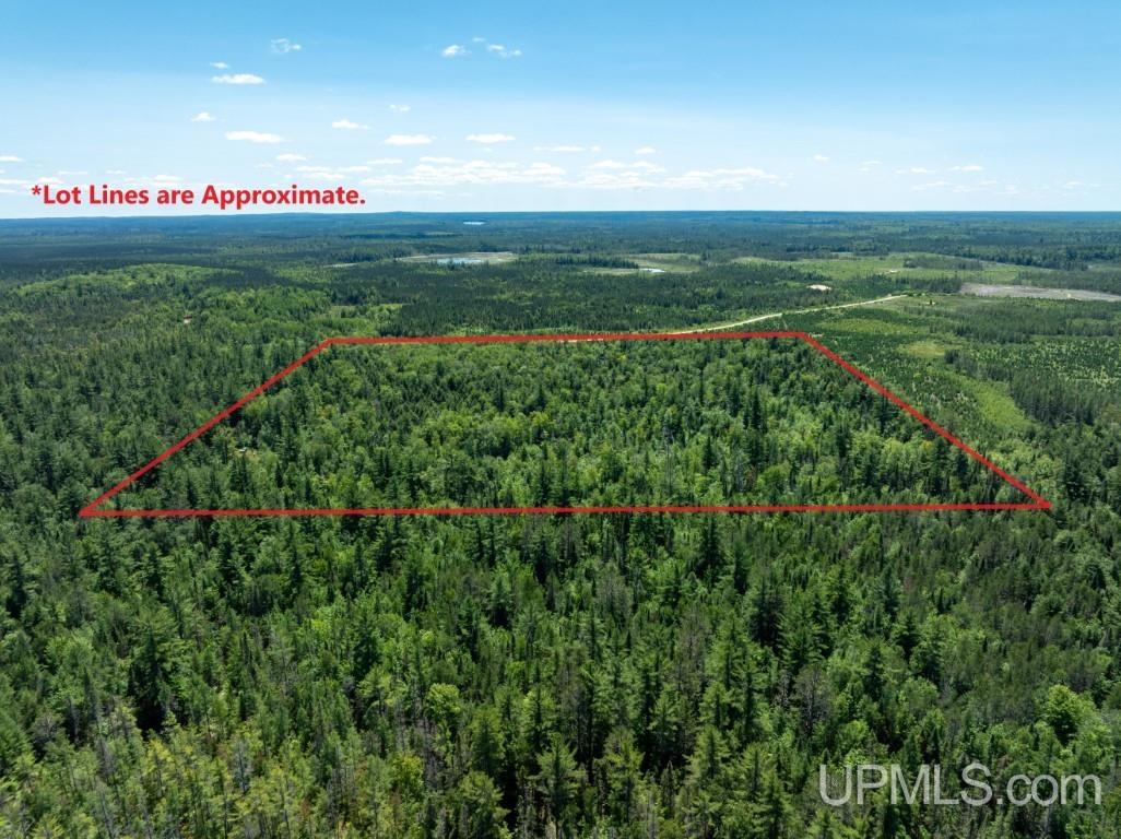N6415 East Cook's Lake Road Wetmore, MI 49895 - Photo 2 of 20