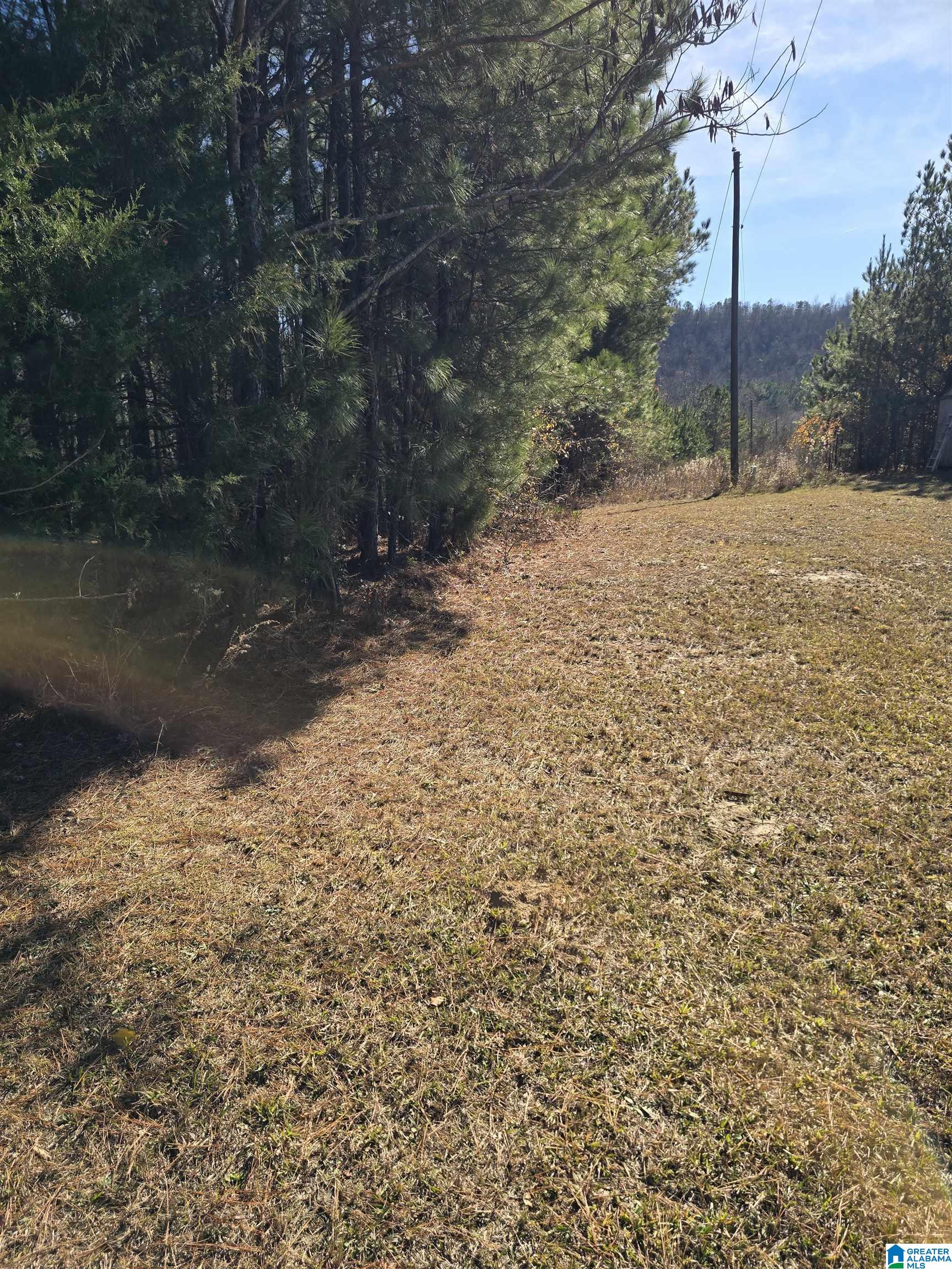 4850 Shoal Creek Road, Unit ACREAGE Ashville, AL 35953 - Photo 5 of 18