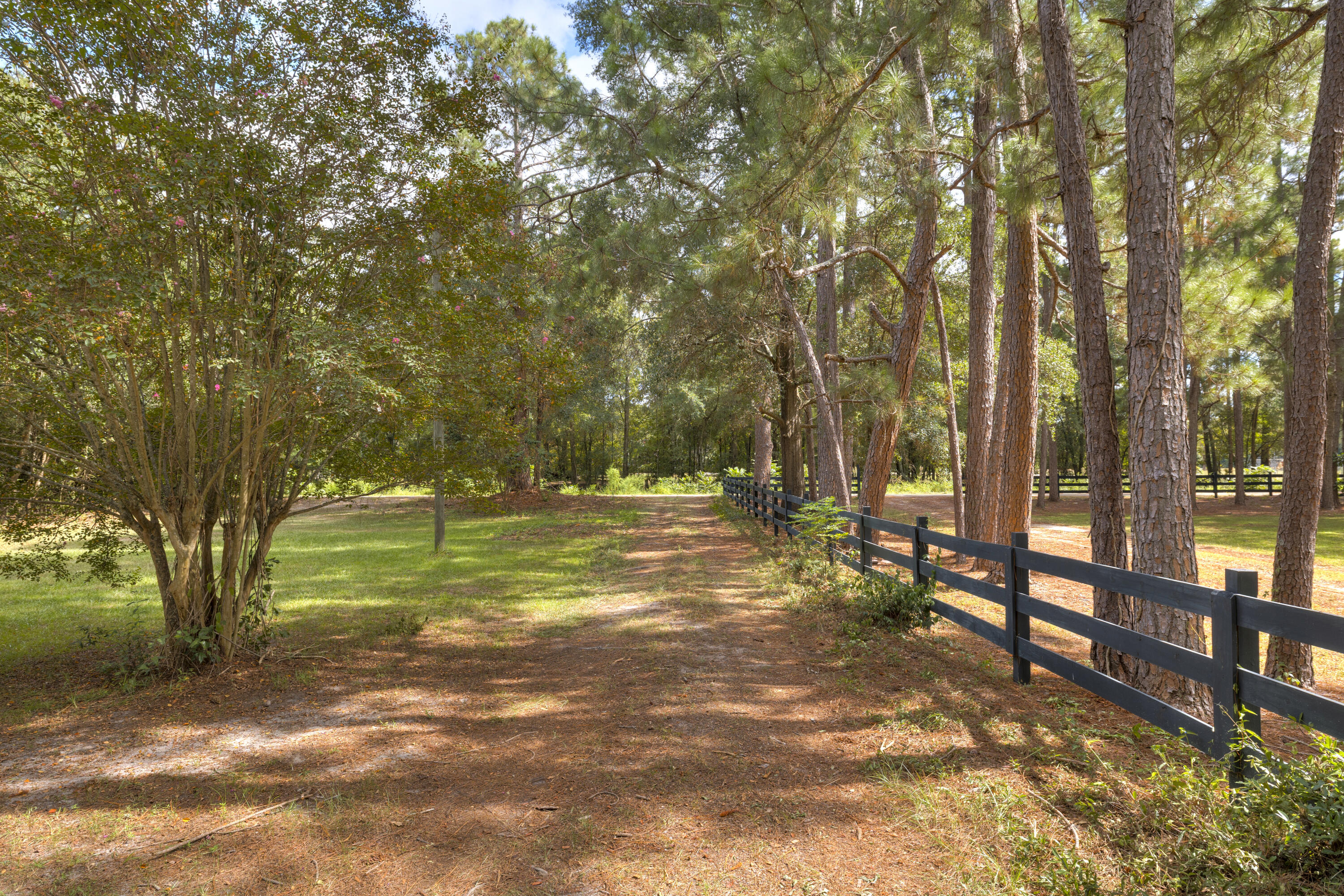 116 West Sumter Street Mayesville, SC 29104 - Photo 11 of 30