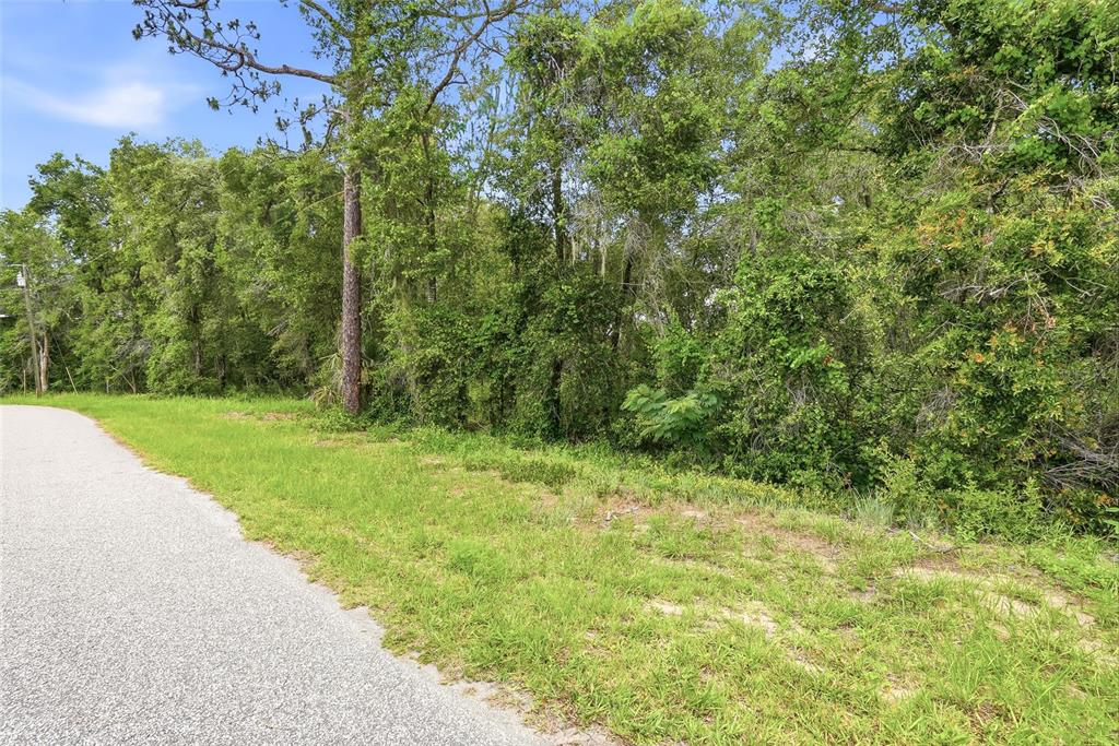 7002 North Castlebury Road Hernando, FL 34442 - Photo 2 of 29