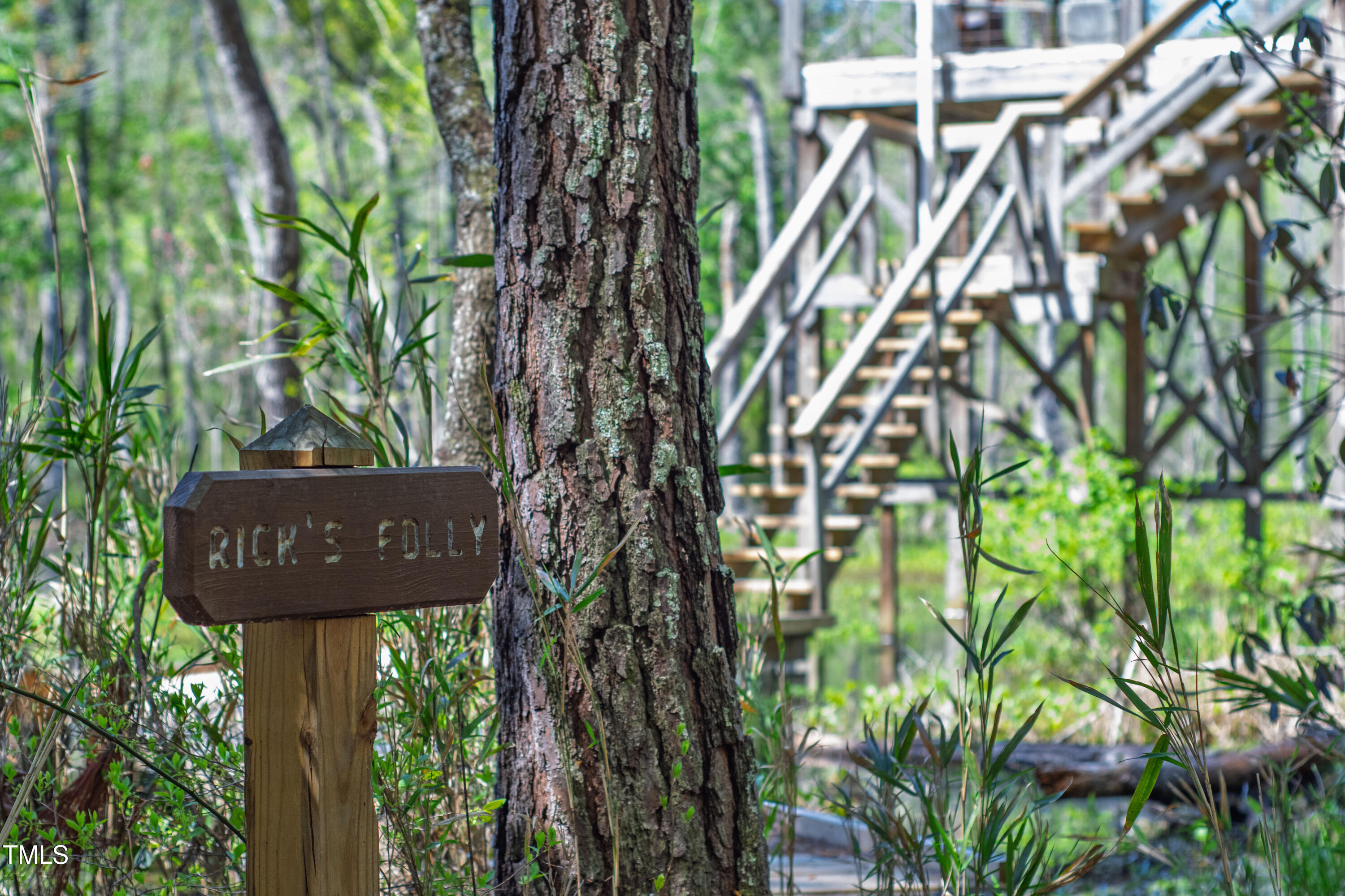 2451 Brick Mill Road Erwin, NC 28339 - Photo 88 of 101 Ricks Folly