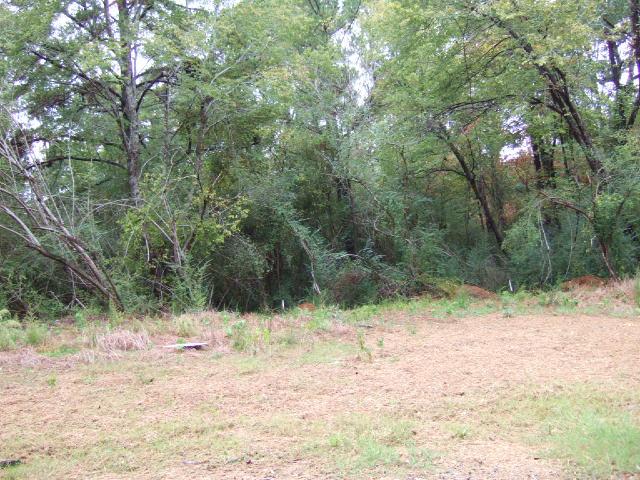 Lot 6 Magnolia Ridge Drive Jasper, AL 35504 - Photo 1 of 1 Gallery Image 1