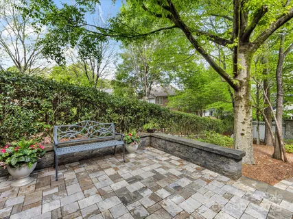 a view of yard with tree s