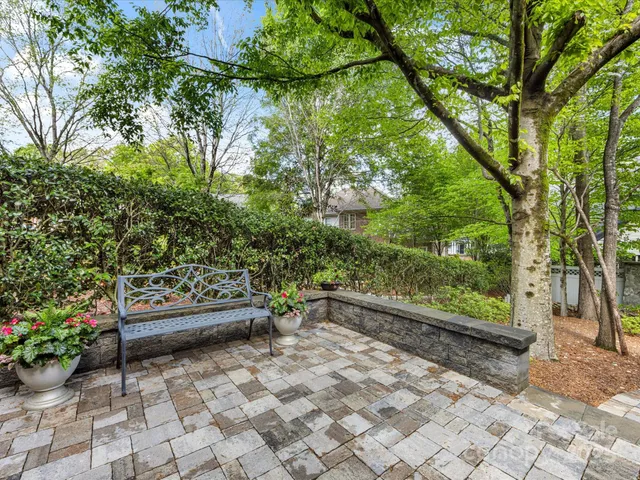 a view of yard with tree s