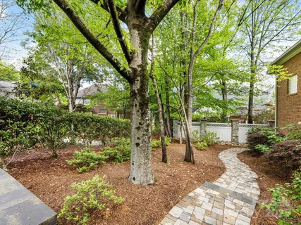 a view of large yard with trees