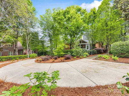 a view of a yard with large trees