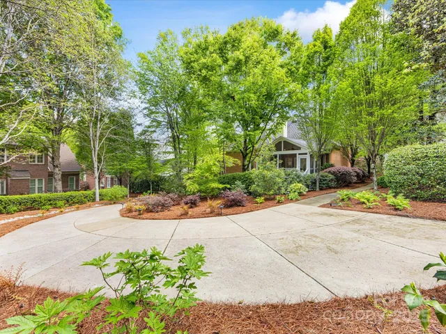 a view of a yard with large trees