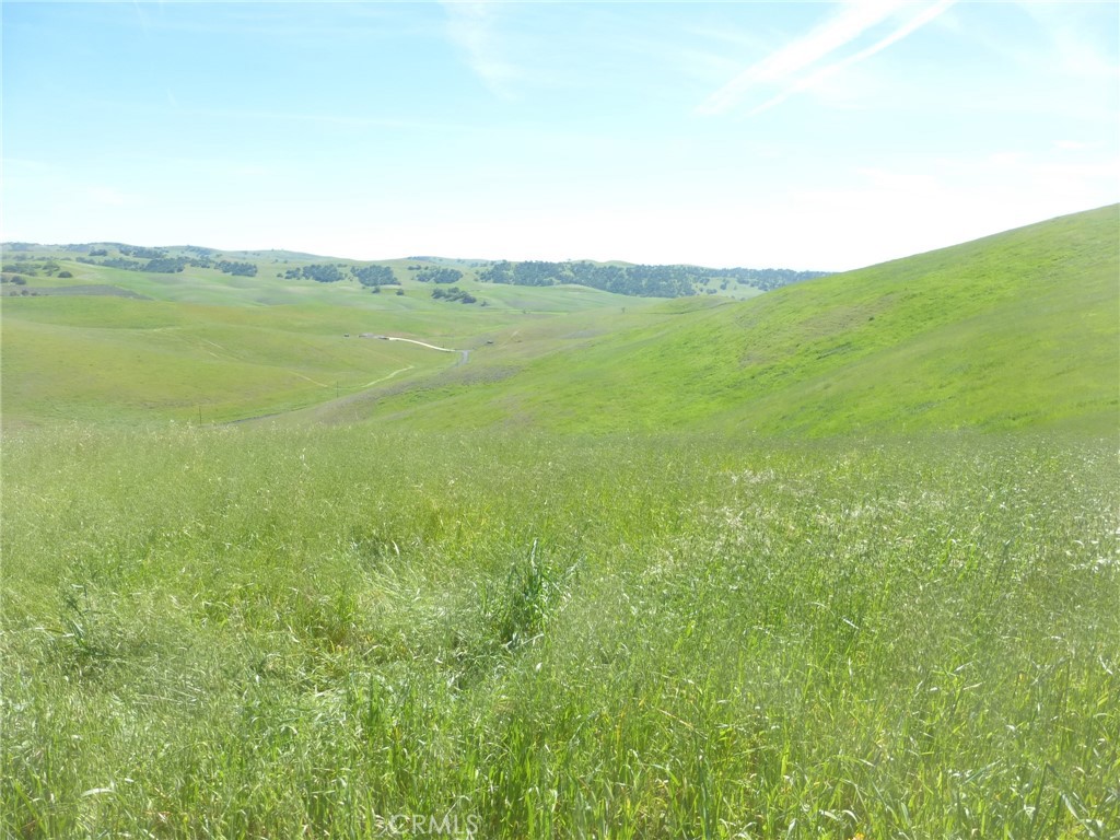 0 Douglas Road San Miguel, CA 93451 - Photo 28 of 44