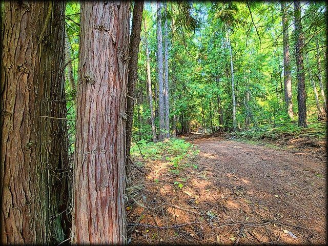 3980 Old Garvey Road Colville, WA 99114 - Photo 29 of 38 Gallery Image 29
