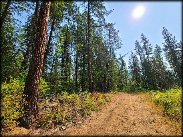 3980 Old Garvey Road Colville, WA 99114 - Photo 30 of 38 Gallery Image 30