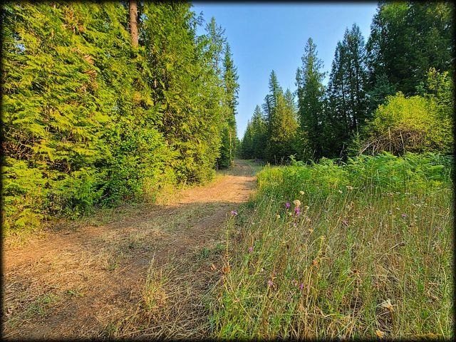 3980 Old Garvey Road Colville, WA 99114 - Photo 31 of 38 Gallery Image 31