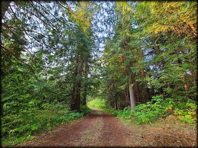 3980 Old Garvey Road Colville, WA 99114 - Photo 32 of 38 Gallery Image 32
