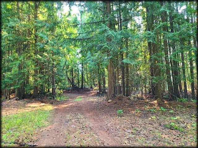 3980 Old Garvey Road Colville, WA 99114 - Photo 34 of 38 Gallery Image 34