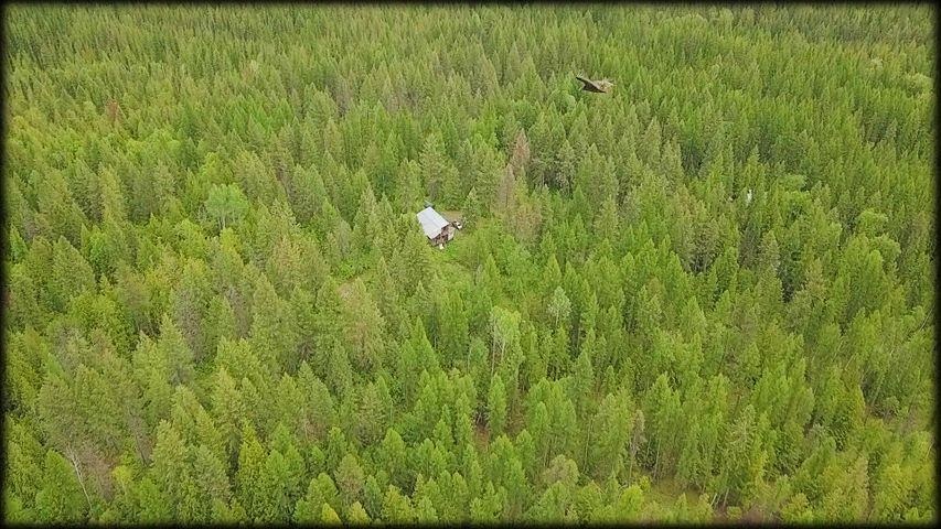 3980 Old Garvey Road Colville, WA 99114 - Photo 35 of 38 Gallery Image 35