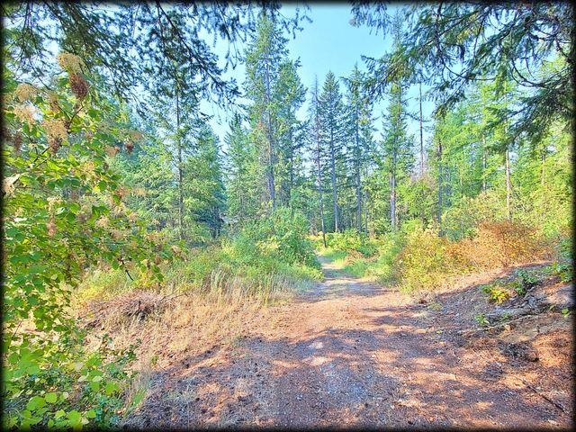 3980 Old Garvey Road Colville, WA 99114 - Photo 36 of 38 Gallery Image 36