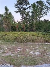 2002 Fitch Avenue Alva, FL 33920 - Photo 2 of 4 a big yard with lots of green space