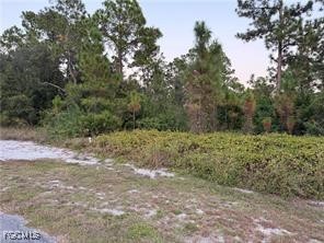 2002 Fitch Avenue Alva, FL 33920 - Photo 3 of 4 a view of a yard with a tree
