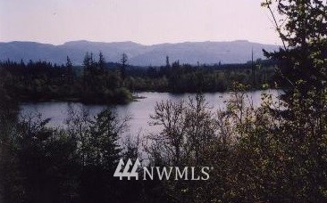 41101 Tanwax Road East Roy, WA 98580 - Photo 3 of 3