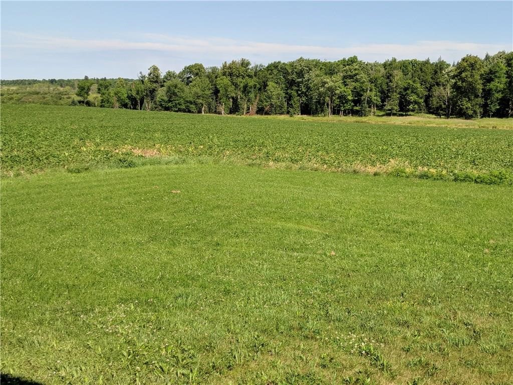 40-acres County Rd B West Glen Flora, WI 54526 - Photo 4 of 4