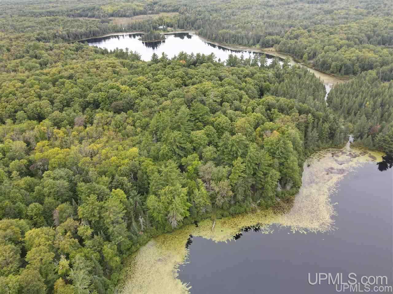 Tbd Tbd Grace Lake Road Watersmeet, MI 49969 - Photo 1 of 16