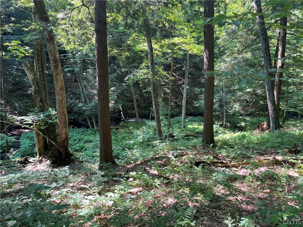 Center Road Lacona, NY 13083 - Photo 9 of 38