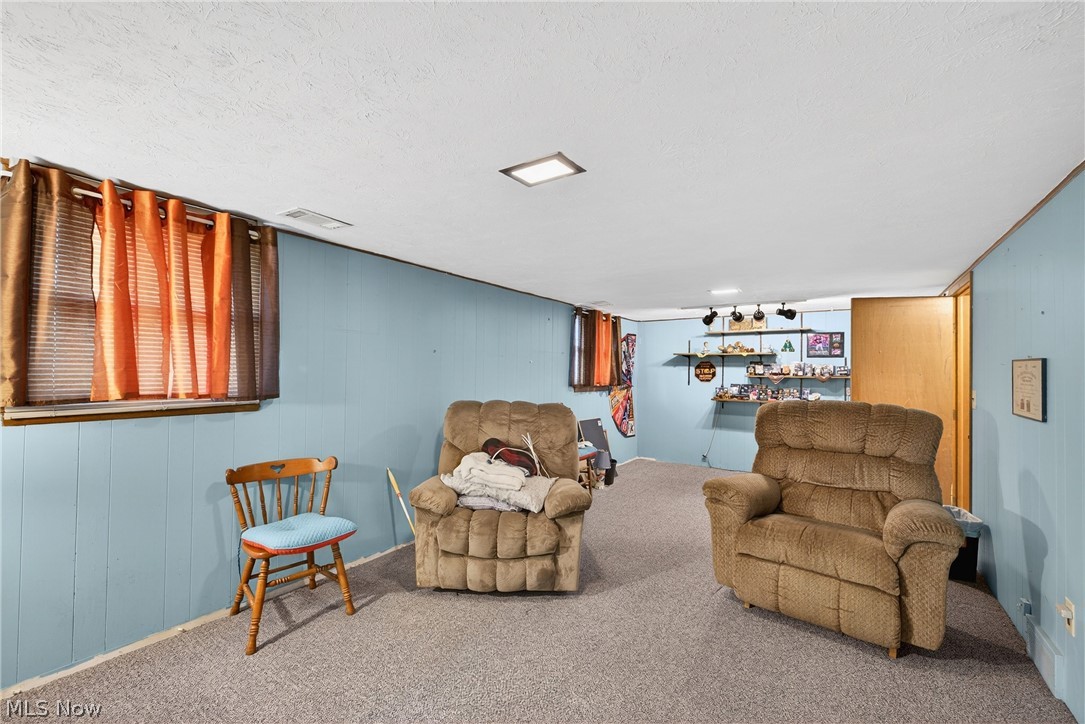 4404 Florida Street Perry, OH 44081 - Photo 21 of 24 Living area with carpet flooring, wood walls, a textured ceiling, and a dry bar