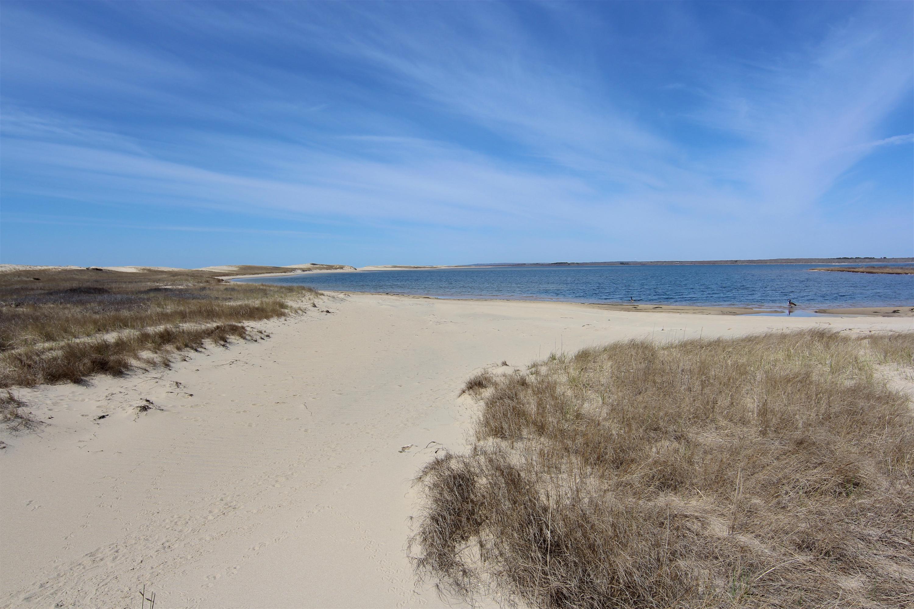 26 Crackatuxet Road Edgartown, MA 02539 - Photo 23 of 27 RSJ26_1b.jpg.