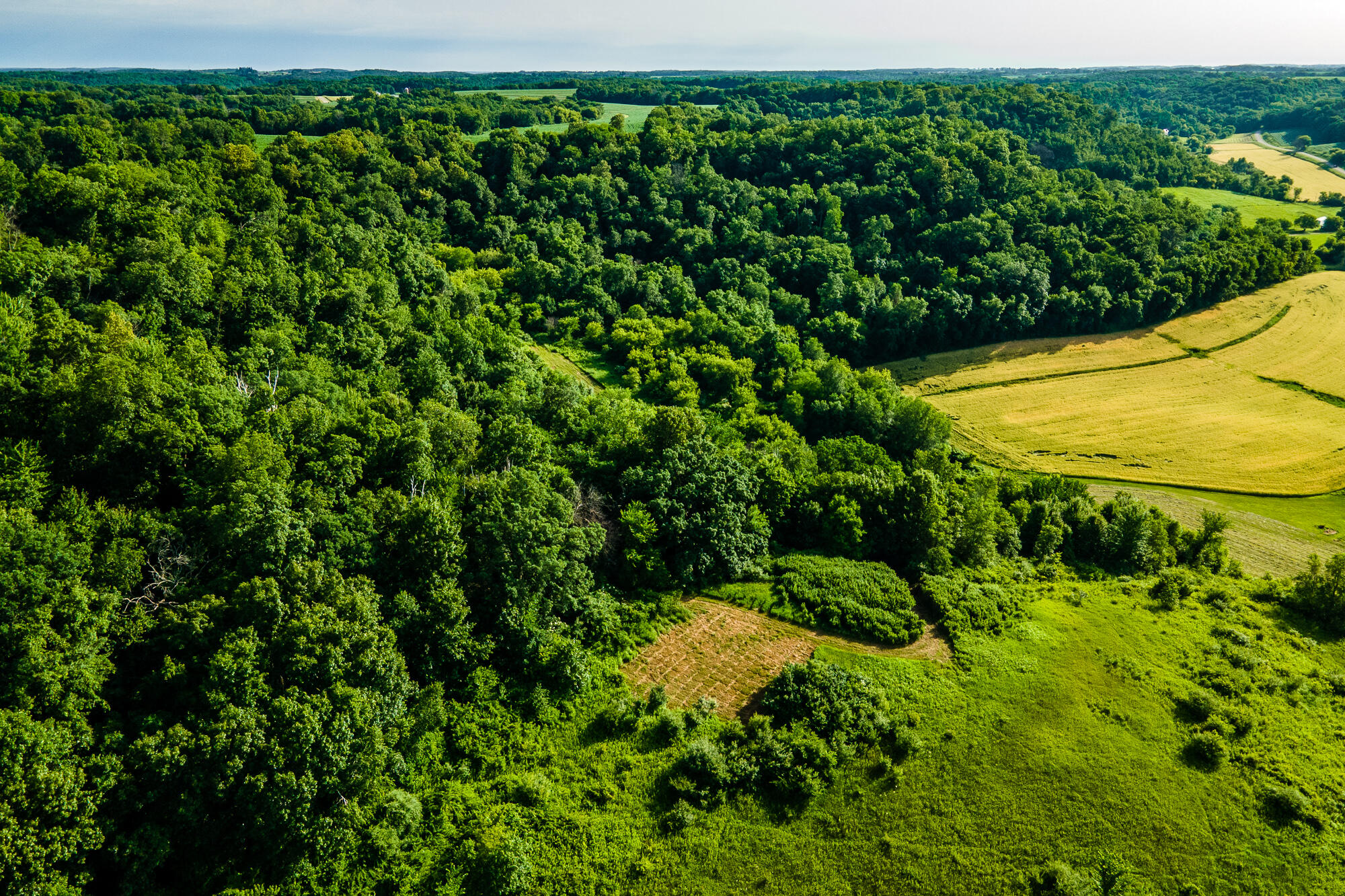 Lt0 Smyth Hollow Road Hillpoint, WI 53937 - Photo 35 of 45 Richland-County-WI-61-Acres-Land-For-Sal