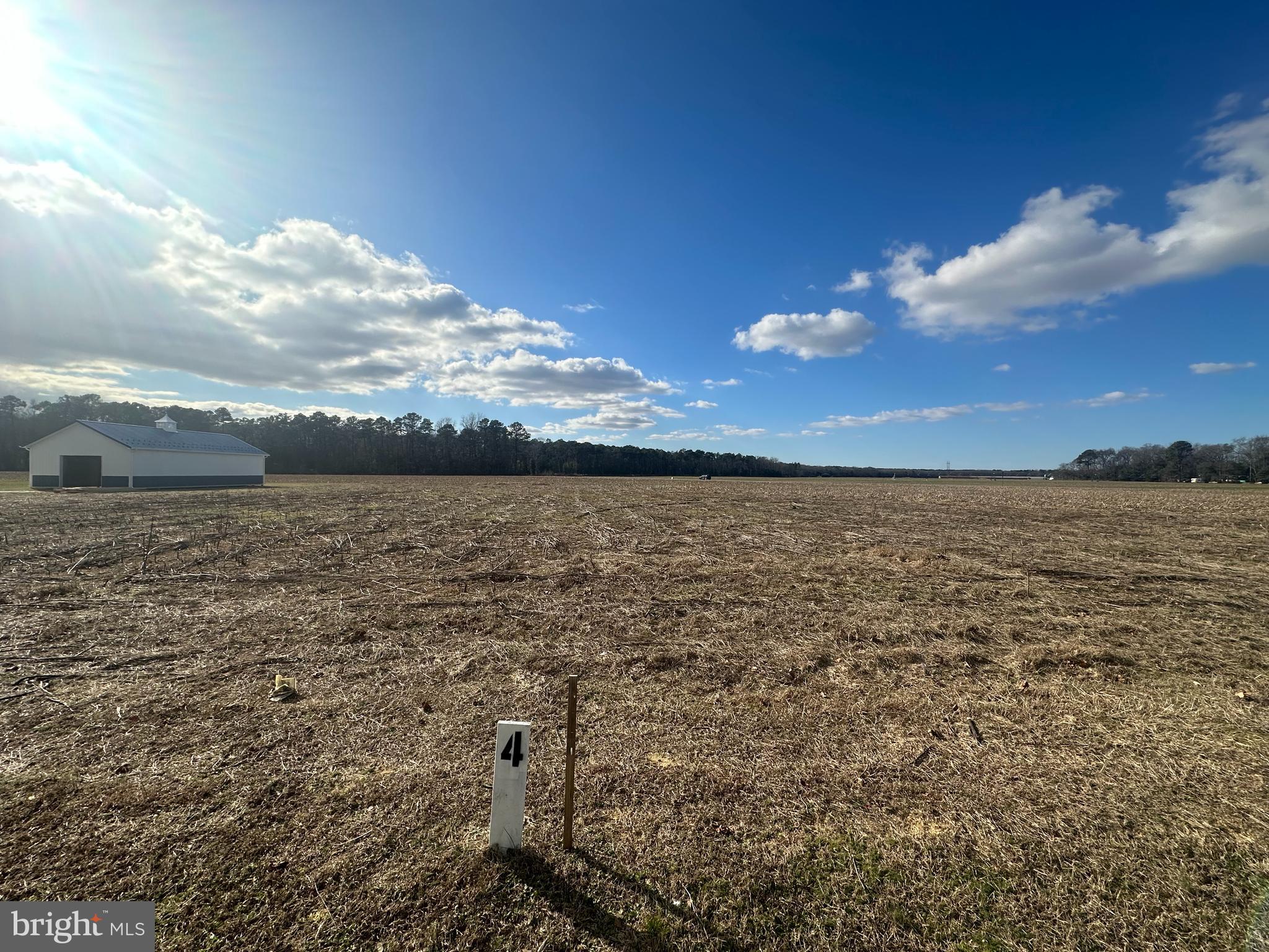 Lot 4 Brittingham Road Delmar, DE 19940 - Photo 1 of 3
