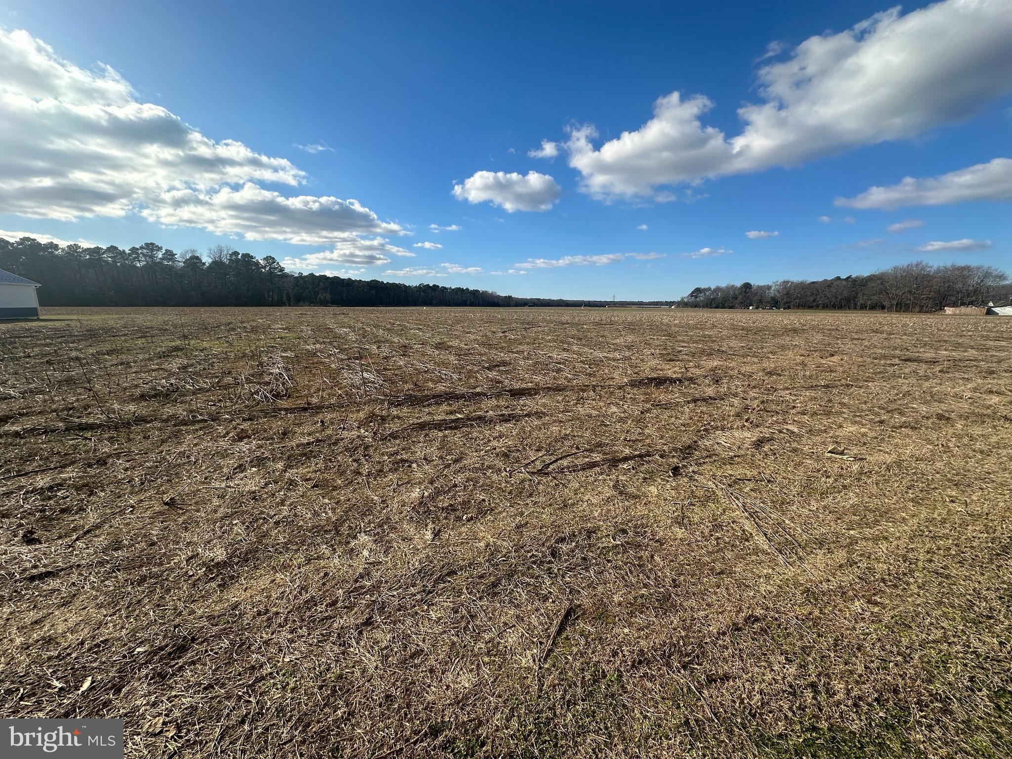 Lot 4 Brittingham Road Delmar, DE 19940 - Photo 3 of 3