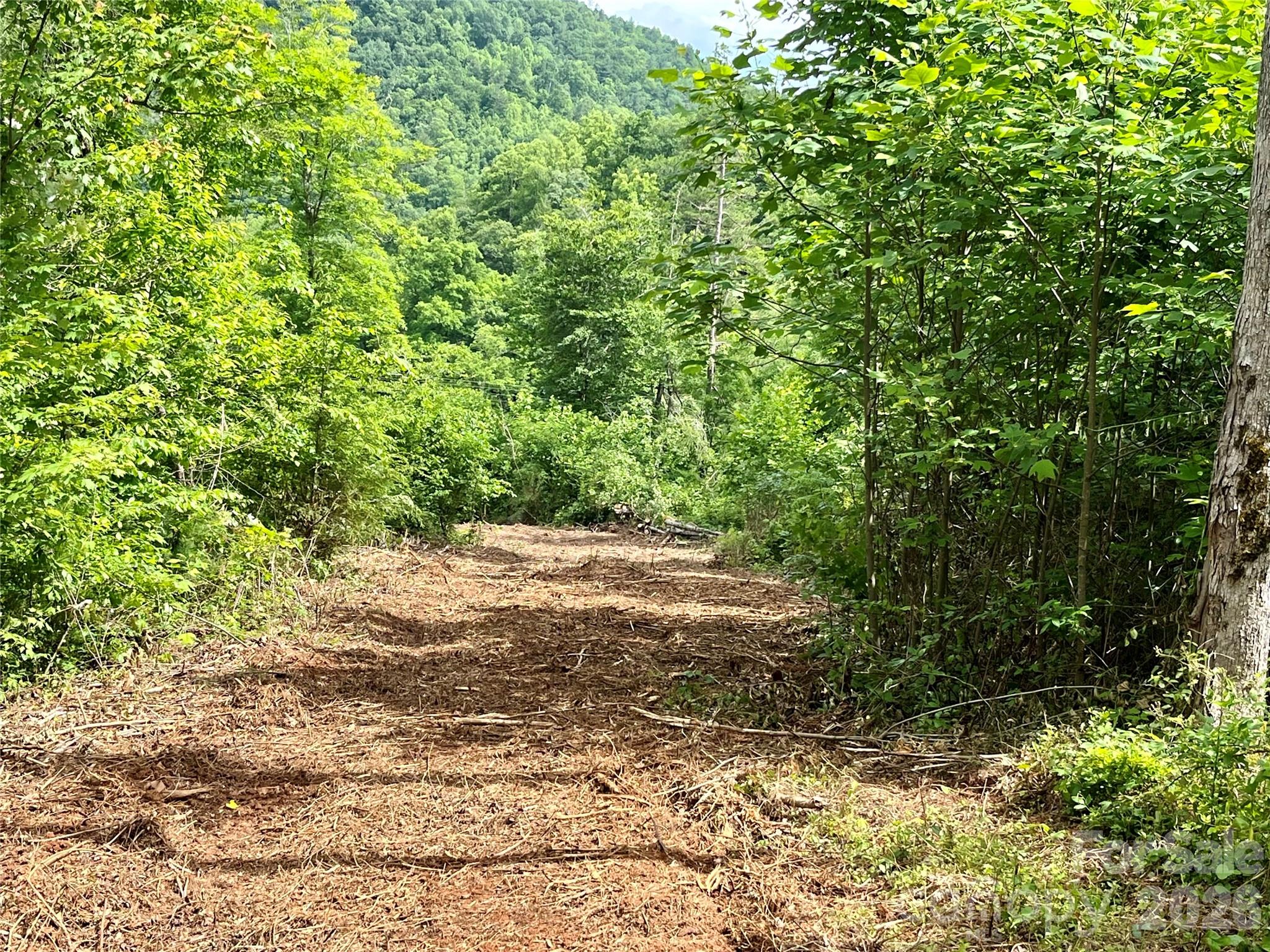 Tbd Tbd Collettsville Road, Unit 4 Lenoir, NC 28645 - Photo 11 of 38