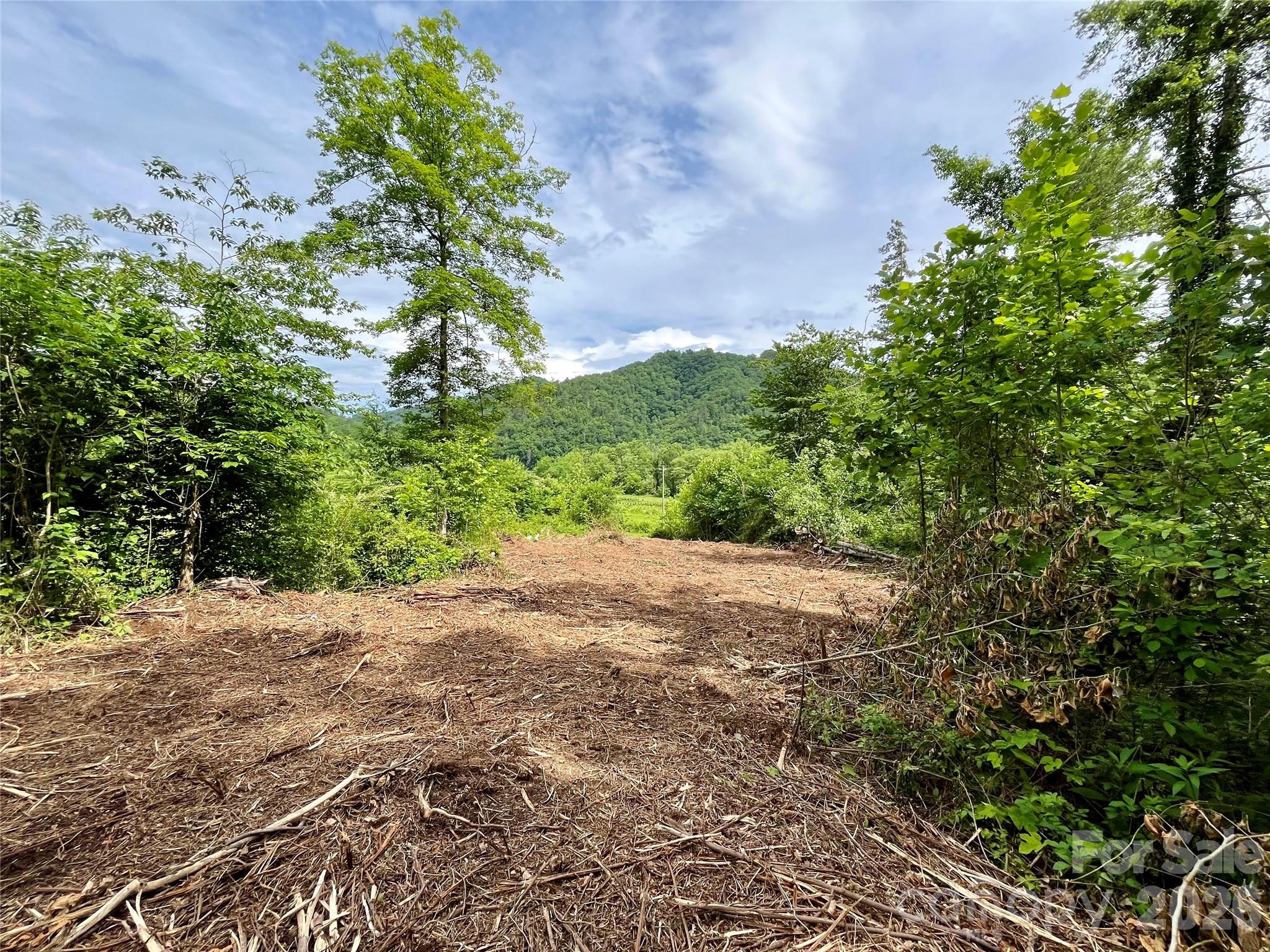 Tbd Tbd Collettsville Road, Unit 4 Lenoir, NC 28645 - Photo 12 of 38