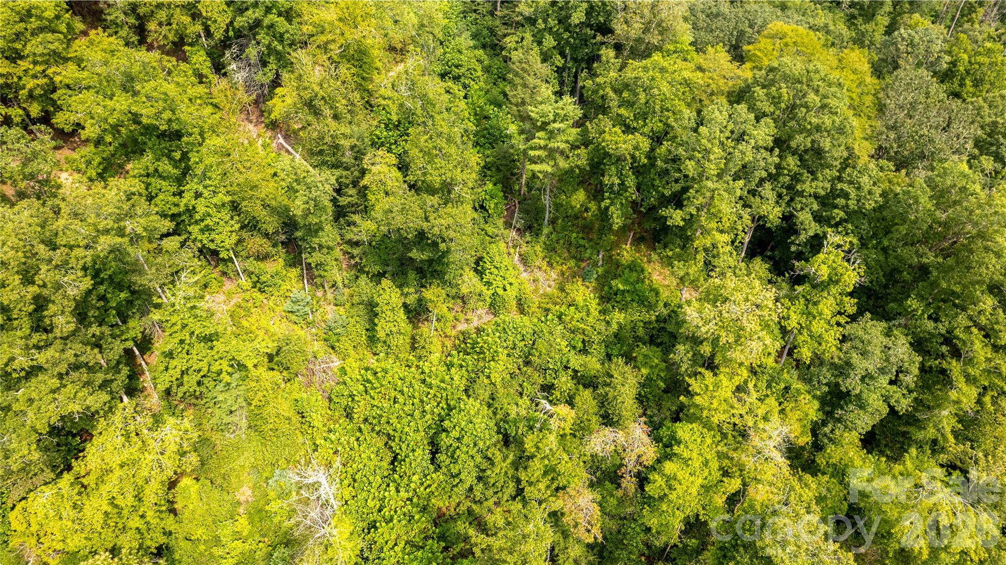 Tbd Tbd Collettsville Road, Unit 4 Lenoir, NC 28645 - Photo 16 of 38