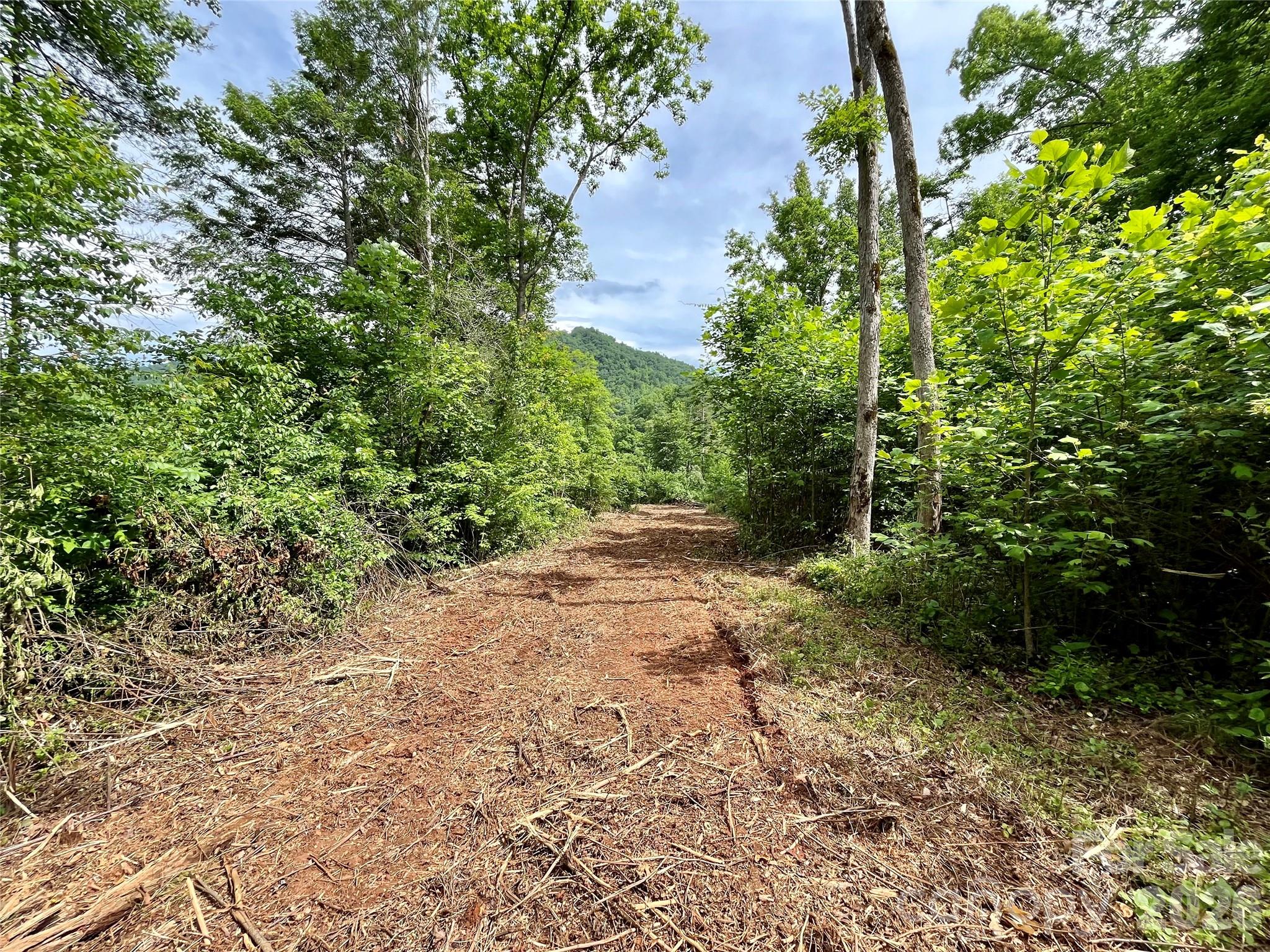 Tbd Tbd Collettsville Road, Unit 4 Lenoir, NC 28645 - Photo 3 of 38