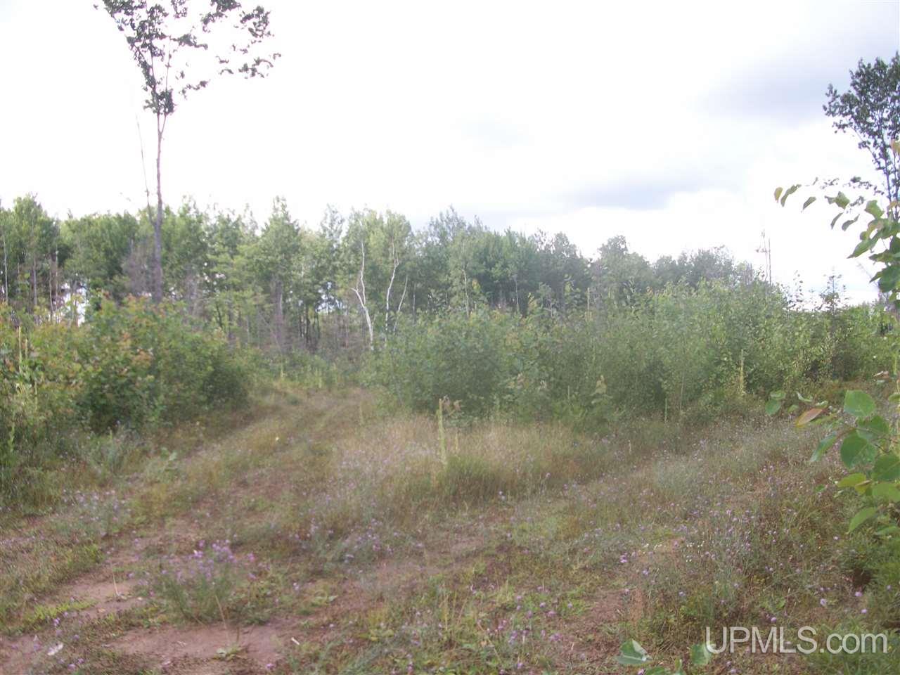 Tbd Off Co Rd 577 Carney, MI 49812 - Photo 1 of 7