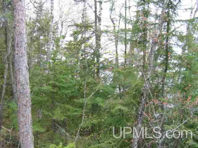 Five Mile Point Road Allouez, MI 49805 - Photo 11 of 18