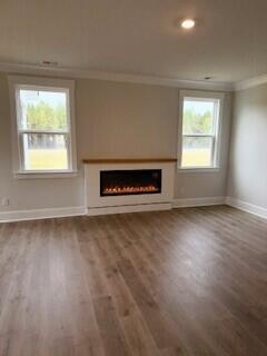 217 Bilge Road Ridgeville, SC 29472 - Photo 26 of 72 217 Bilge Road Fireplace 2